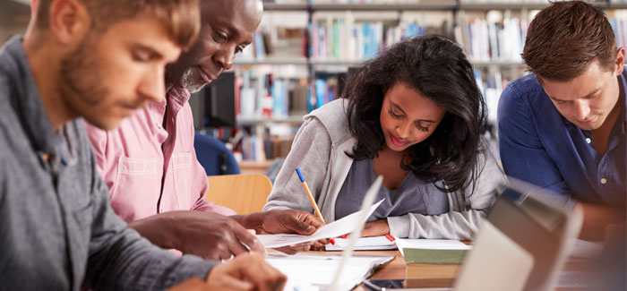 DELF Programmes