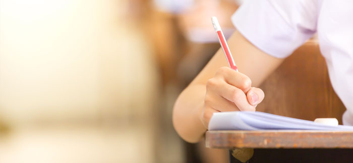 DELF Programmes
