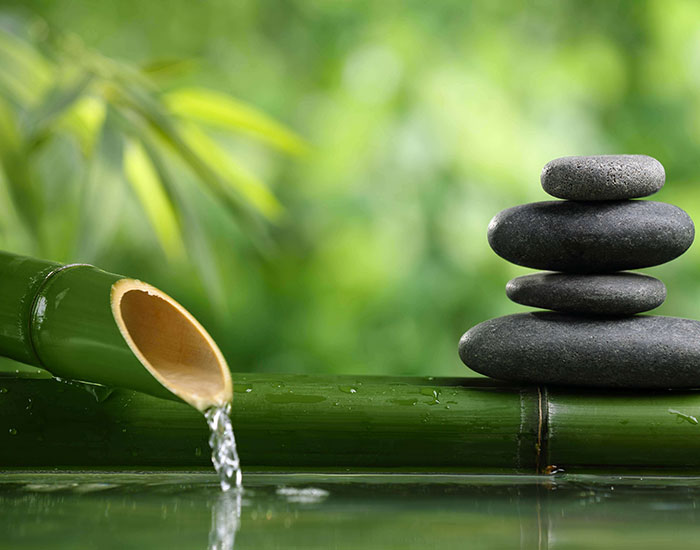 Tarifs Développement personnel